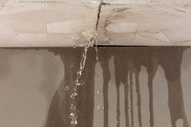 Professional Burst Pipe Cleanup technician working in Rossford, OH